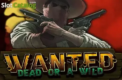 Wild West cowboy met pistool en ster